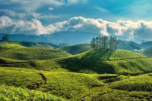 Peerumedu Hill Station