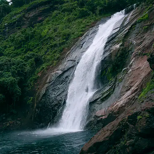 marmala-stream-kottayam-1727678294_8928c5f4b080ae547b43
