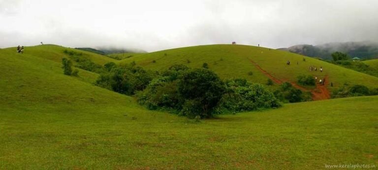 vagamon-kerala-destinations-photos